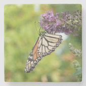 Monboogvlinder op Paarse vlinderStruik Stenen Onderzetter (Voorkant)