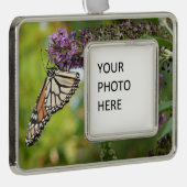 Monboogvlinder op Paarse vlinderStruik Verzilverd Omlijst Ornament (Rechts)
