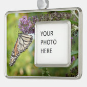 Monboogvlinder op Paarse vlinderStruik Verzilverd Omlijst Ornament (Links)