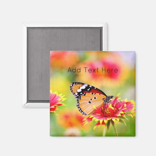 Monboogvlinder op rode en gele bloem magneet (Voorkant / Achterkant)