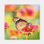 Monboogvlinder op rode en gele bloem magneet (Voorkant)