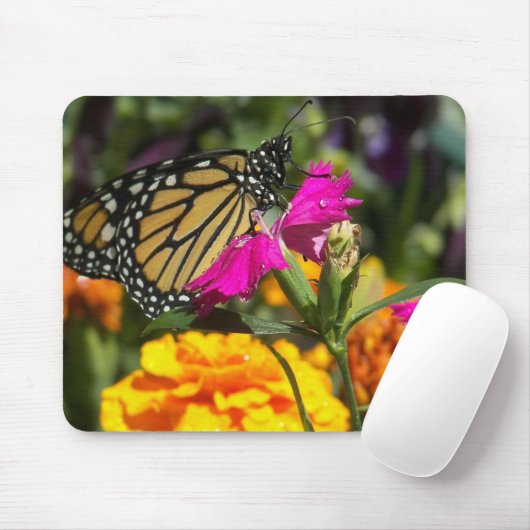 Monboogvlinder op roze marigold-mousepad muismat (Met muis)
