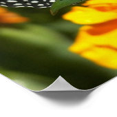 Monboogvlinder op roze marigold poster (Hoek)