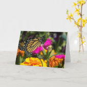 Monboogvlinder op roze marigold-wenskaarten kaart (Gele Bloem)