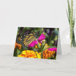 Monboogvlinder op roze marigold-wenskaarten kaart