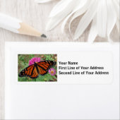 Monboogvlinder op roze ventiel etiket (Insitu)