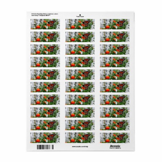 Monboogvlinder op Sinaasappel en rode lantana Etiket (Full Sheet)