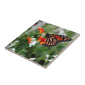 Monboogvlinder op Sinaasappel en rode lantana Tegeltje (Zijkant)