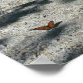 monboogvlinder poster (Hoek)