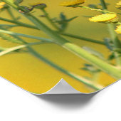 Monboogvlinder Poster (Hoek)