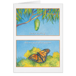 Monboogvlinder - psalm 27:14