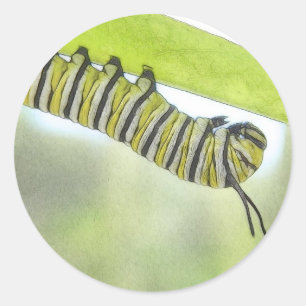 Monboogvlinder-stencijler voor het verkennen van e ronde sticker