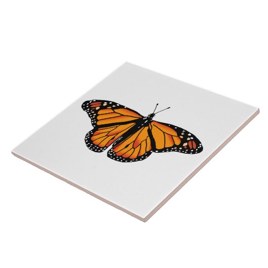 Monboogvlinder Tegeltje (Zijkant)