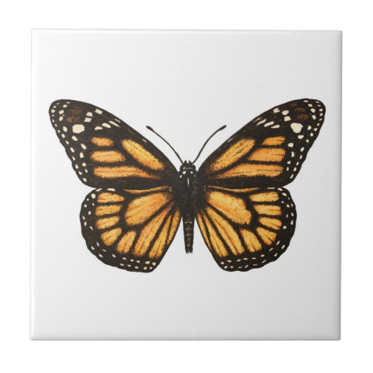 Monboogvlinder Tegeltje (Voorkant)