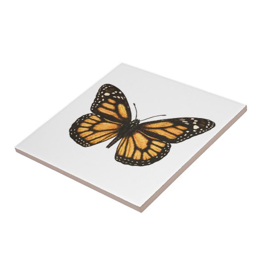 Monboogvlinder Tegeltje (Zijkant)