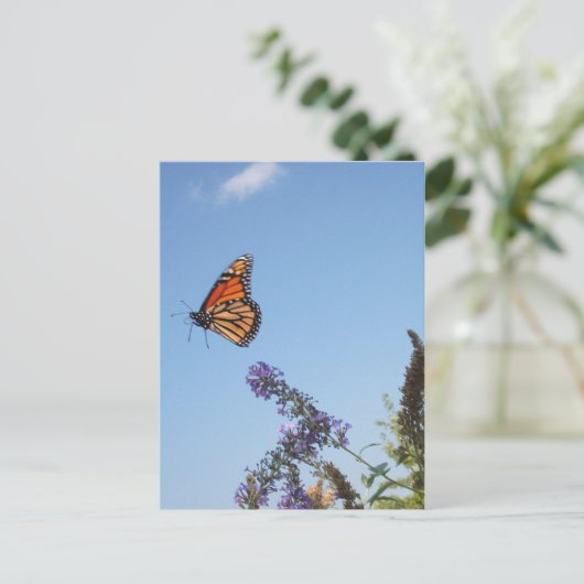 Monboogvlinder tijdens de vlucht briefkaart (Staand voorkant)