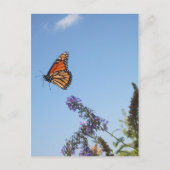 Monboogvlinder tijdens de vlucht briefkaart (Voorkant)