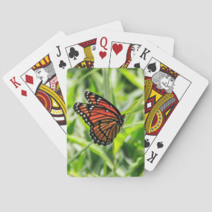 Monboogvlinder tijdens de vlucht speelkaarten