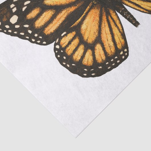 Monboogvlinder Tissuepapier (Detail)