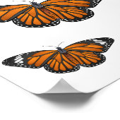 Monboogvlinderillustratie cartoon poster (Hoek)