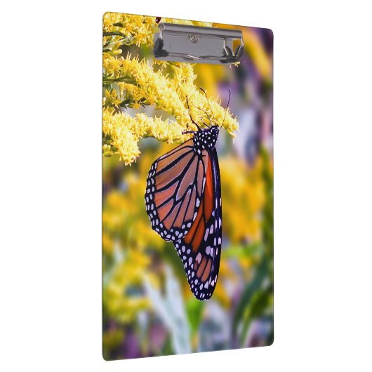 Monboogvlinderklembord Klembord (Rechts)