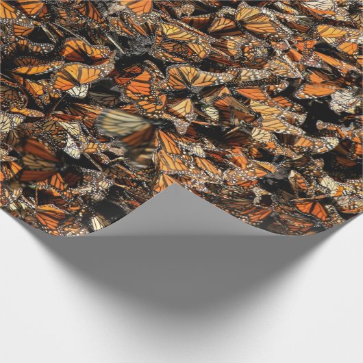 Monboogvlinders, Cadeaupapier (Hoek)