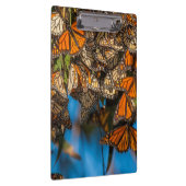 Monboogvlinders migreren naar bladeren klembord (Rechts)