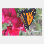 Monboogvlinderverpakkingspapier Inpakpapier Vel (Voorkant 3)