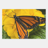 Monboogvlinderverpakkingspapier Inpakpapier Vel (Voorkant 2)