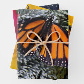 Monboogvlinderverpakkingspapier Inpakpapier Vel (In situ)