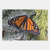 Monboogvlinderverpakkingspapier Inpakpapier Vel (Voorkant)