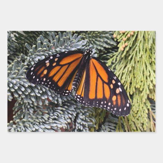 Monboogvlinderverpakkingspapier Inpakpapier Vel (Voorkant)