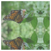  monboogvlinderweefsel stof (Close Up)