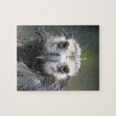 Mönchsgeier Legpuzzel (Horizontaal)