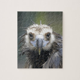 Mönchsgeier Legpuzzel