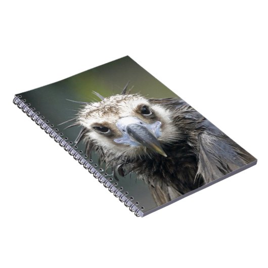 Mönchsgeier Notitieboek (Rechterzijde)