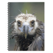 Mönchsgeier Notitieboek (Voorkant)