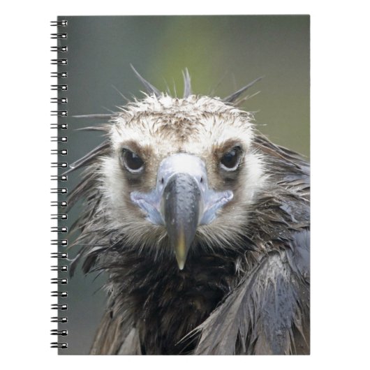 Mönchsgeier Notitieboek (Voorkant)