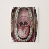 mond-anatomie legpuzzel (Verticaal)