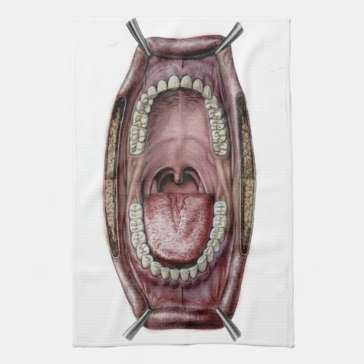 mond-anatomie theedoek (Verticaal)