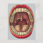  mond briefkaart (Voorkant)