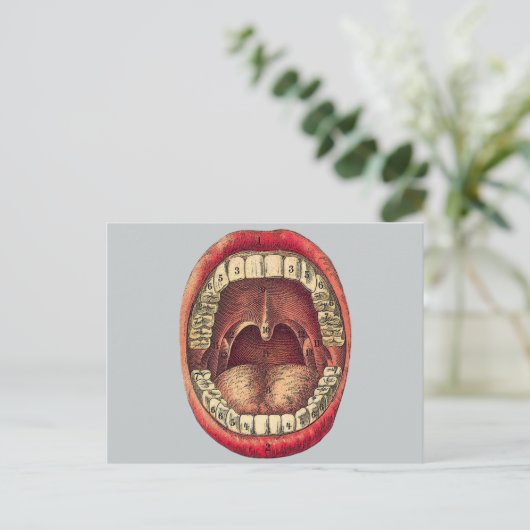  mond briefkaart (Staand voorkant)