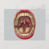  mond briefkaart (Voorkant)