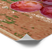 Mond-water tropische vruchten poster (Hoek)