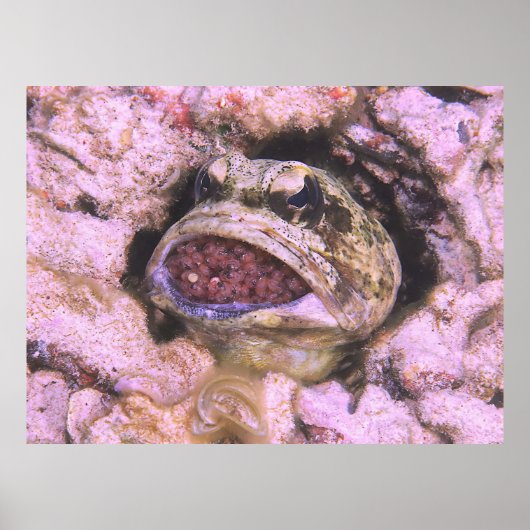 Mondbroeden Poster (Voorkant)