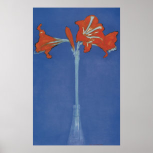 Mondriaan Amaryllis in een Flits Poster