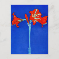 Mondrian Amaryllis Briefkaart