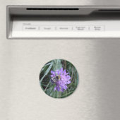 Mondstuk Magneet (Insitu (Vaatwasser))