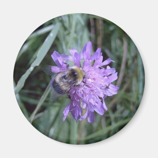 Mondstuk Magneet (Voorkant)