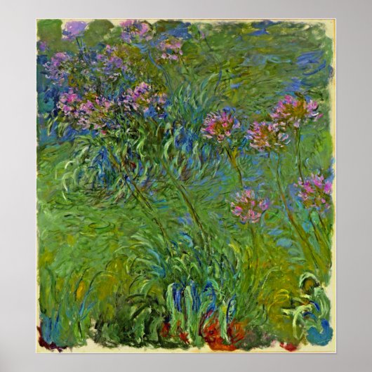 Monet - Agapanthus Bloemen 1917 Poster (Voorkant)